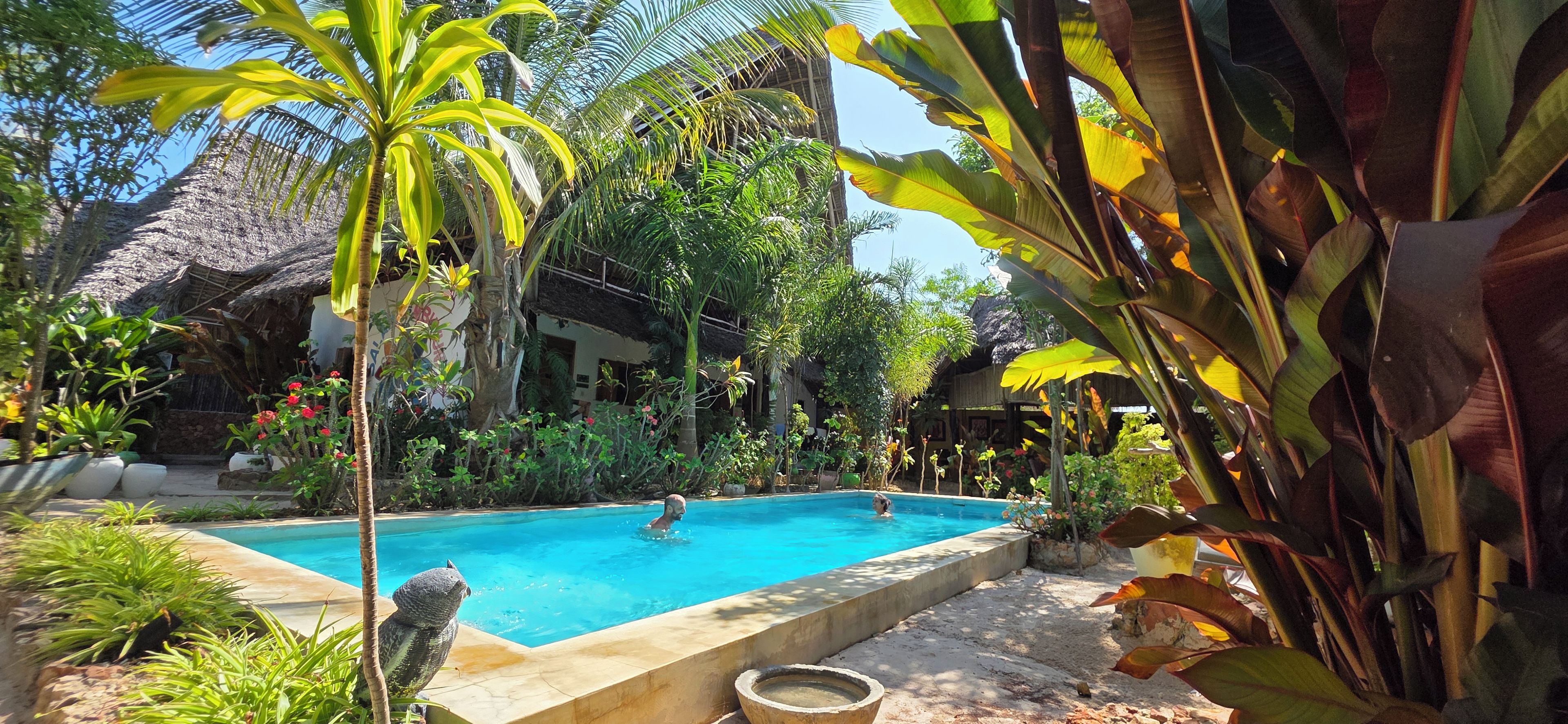A swimming pool surrounded by tropical plants and a thatched-roof building.