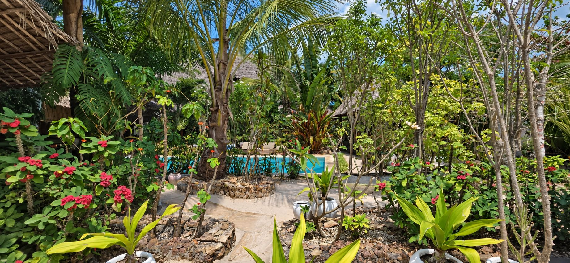 Un jardín tropical con piscina, diversas plantas y una estructura con techo de paja.