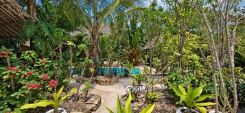 Un jardín tropical con piscina, diversas plantas y una estructura con techo de paja.