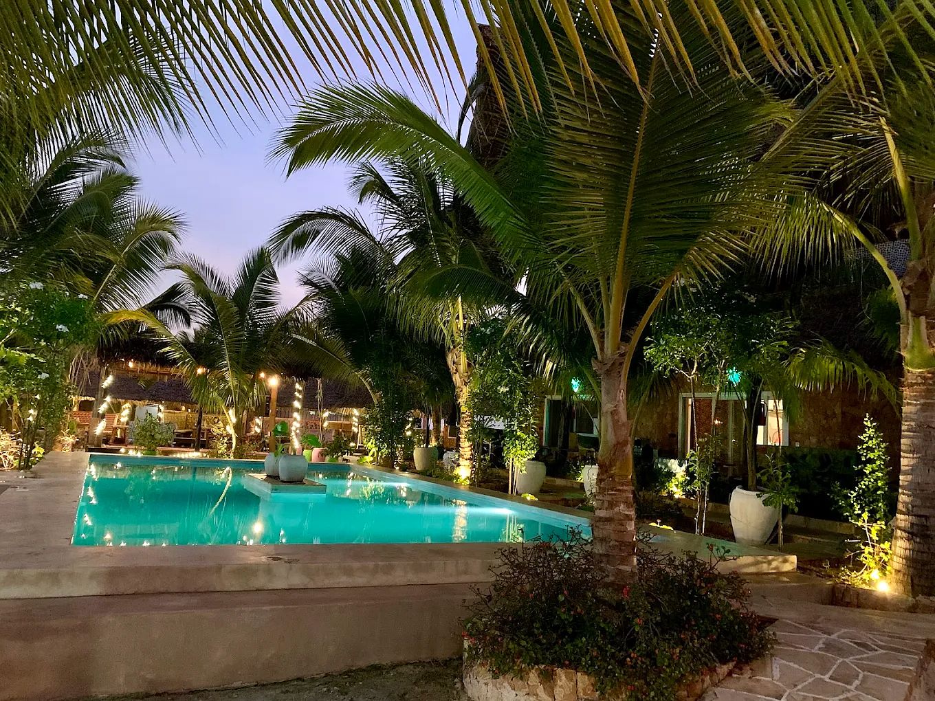 Una piscina rodeada de palmeras y senderos de piedra.