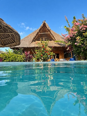 A clear swimming pool with a thatched-roof building and lush tropical vegetation in the background. - Salama & Mbuyuni Bungalows (Matemwe)