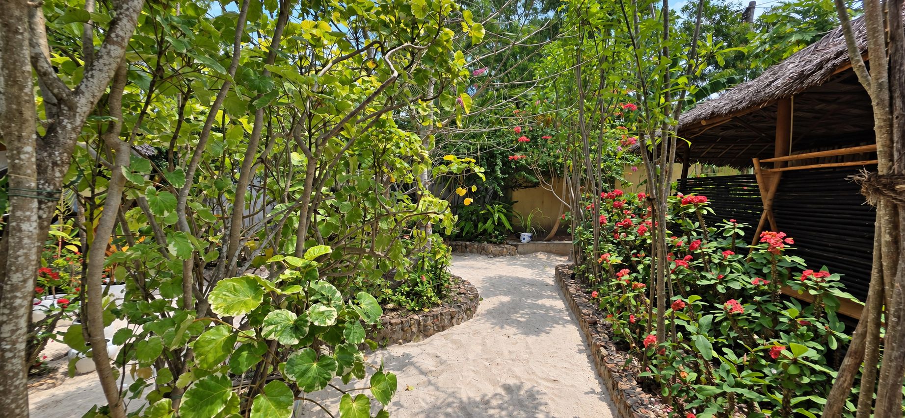 A garden pathway with trees and flowering plants, leading to a thatched-roof structure.