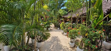 Un sendero en un jardín, bordeado por plantas en macetas y una estructura con techo de paja.