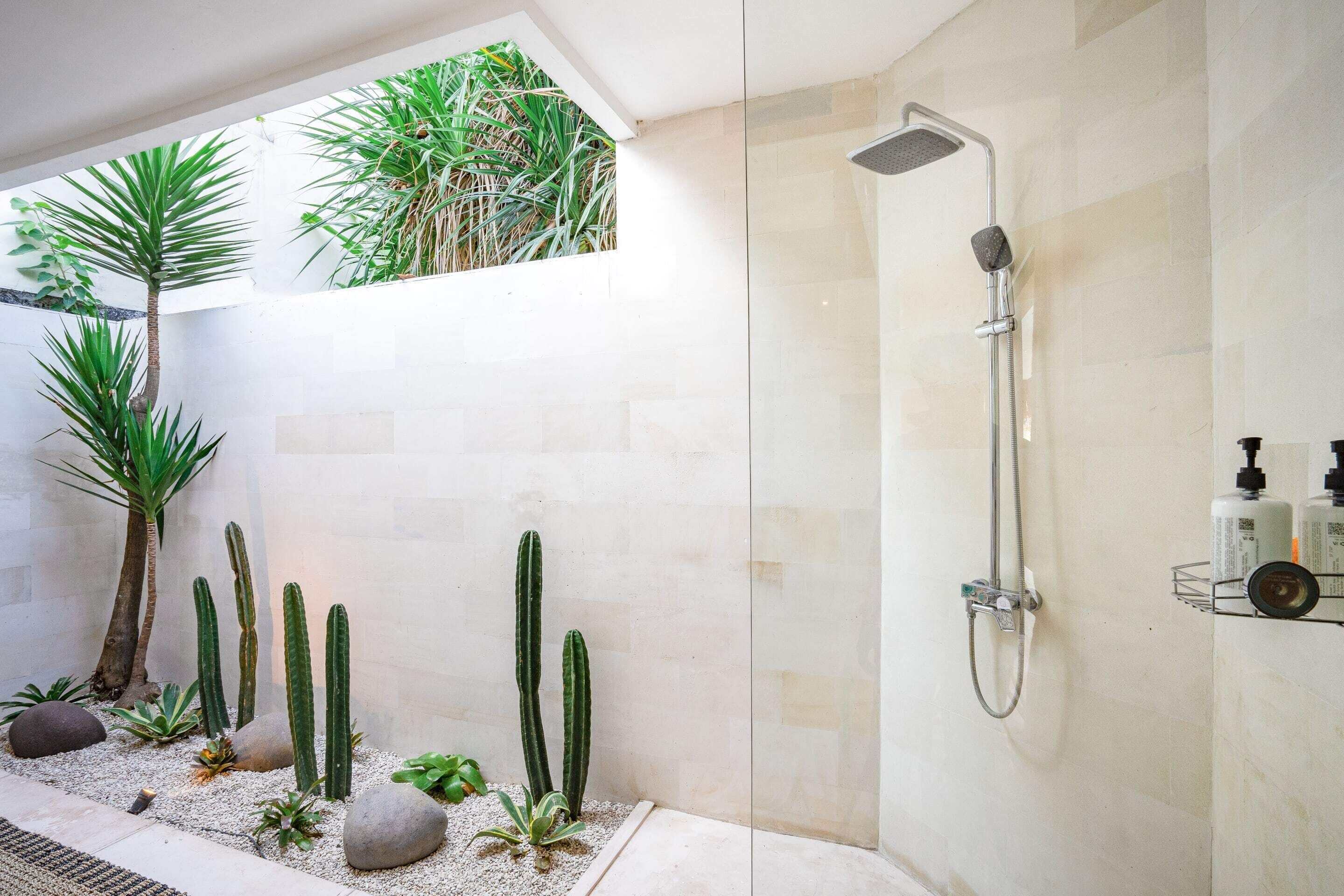 A modern bathroom with a glass shower enclosure, a small plant area with cacti and a palm tree, and a white tiled wall.