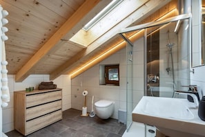 Shower, hair dryer, towels