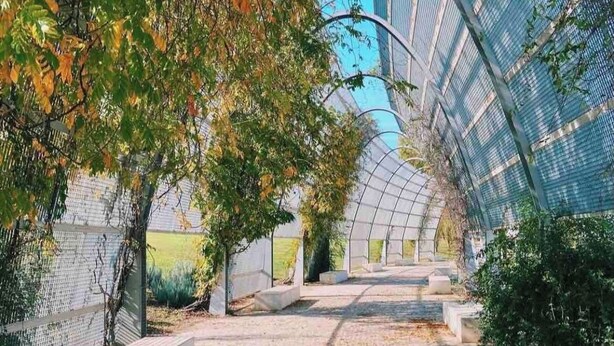 A covered walkway with a curved roof, surrounded by trees and a brick wall. - Lisbon - Low Cost - Airport - Subway (Lisboa)