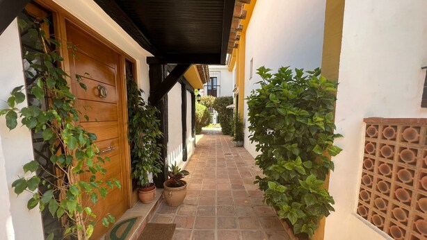 A narrow alleyway with potted plants on either side, leading to a building with a wooden door and a tiled roof.