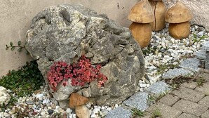 A rock formation with red flowers and wooden sculptures. - Holiday Home 'Altes Rathaus' with Terrace & Wi-Fi (Leibertingen)