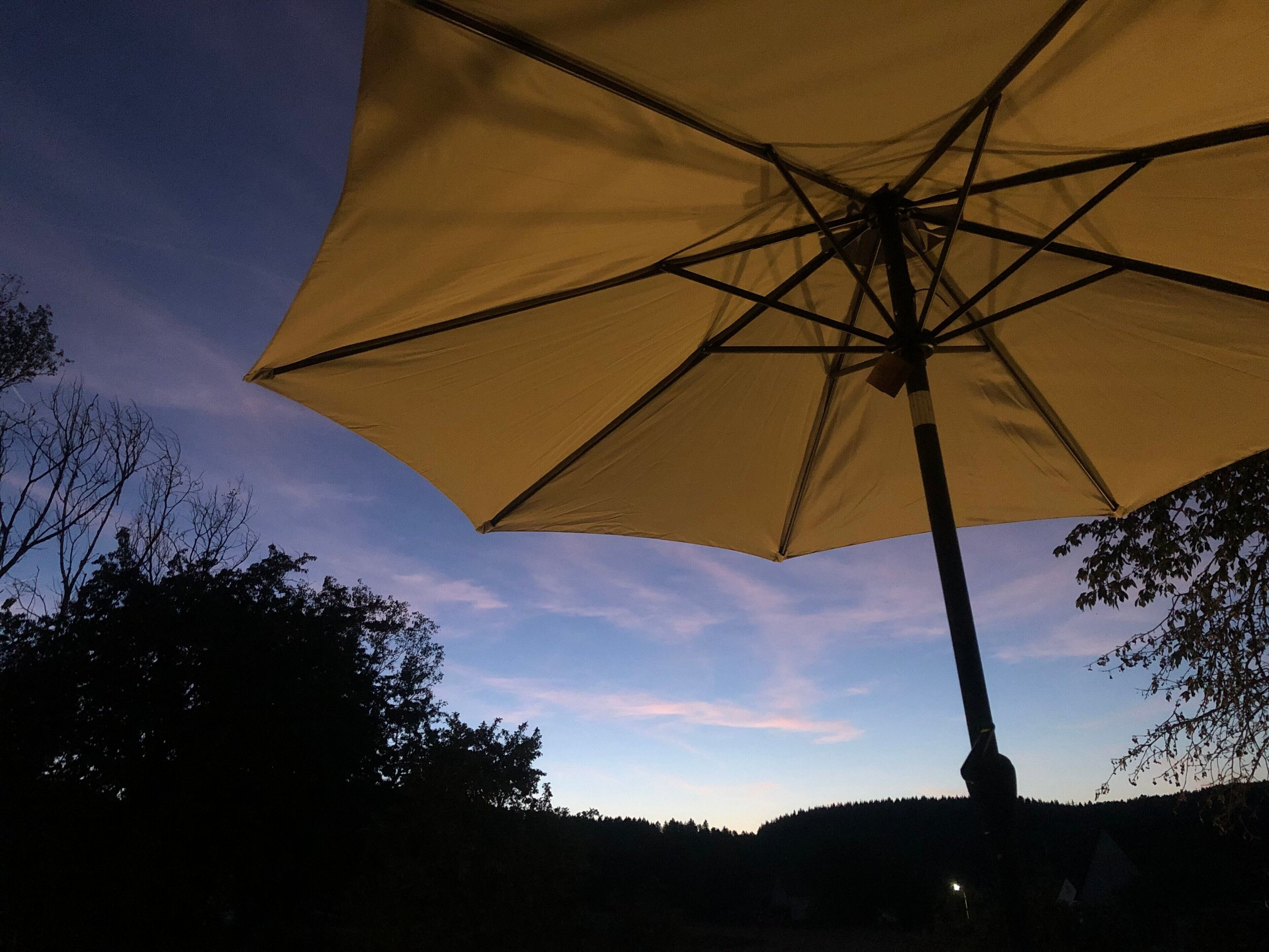 Un parapluie d’une couleur unie.