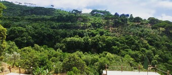 Mountain Pool: a Private Pool and Bungalow in the Middle of the Forest