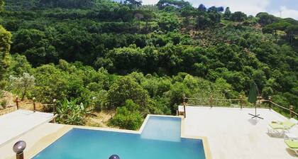 Mountain Pool: a Private Pool and Bungalow in the Middle of the Forest