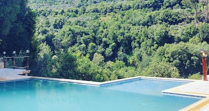 Mountain Pool: a Private Pool and Bungalow in the Middle of the Forest