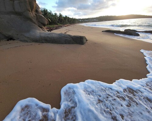 Wake Up to Ocean Views: Your Puerto Rico Paradise Awaits!