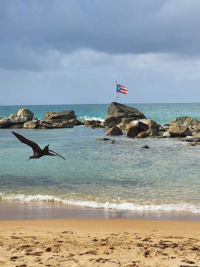 Wake Up to Ocean Views: Your Puerto Rico Paradise Awaits!