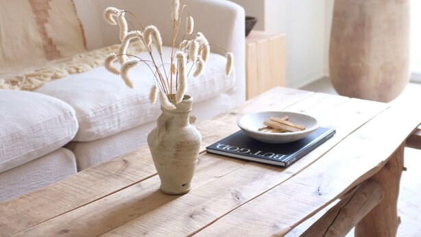 Ein Holztisch mit einer Vase und einem Buch, ein beiges Sofa und eine große Topfpflanze in einem Raum mit schlichter Wand und einem Fenster.