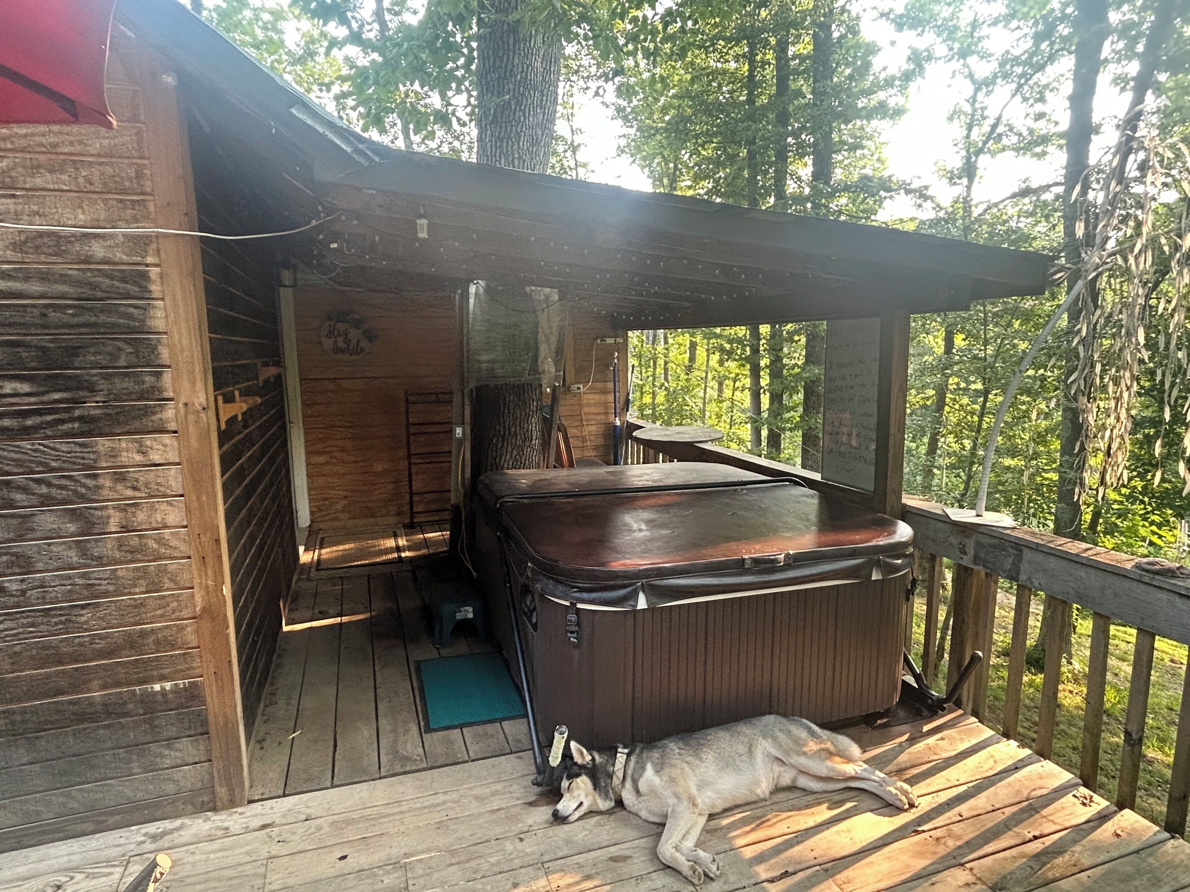 A wooden cabin with a hot tub on the porch, a dog lying on the deck, and a forested backdrop.