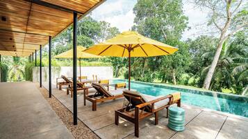 Outdoor pool, pool umbrellas, pool loungers