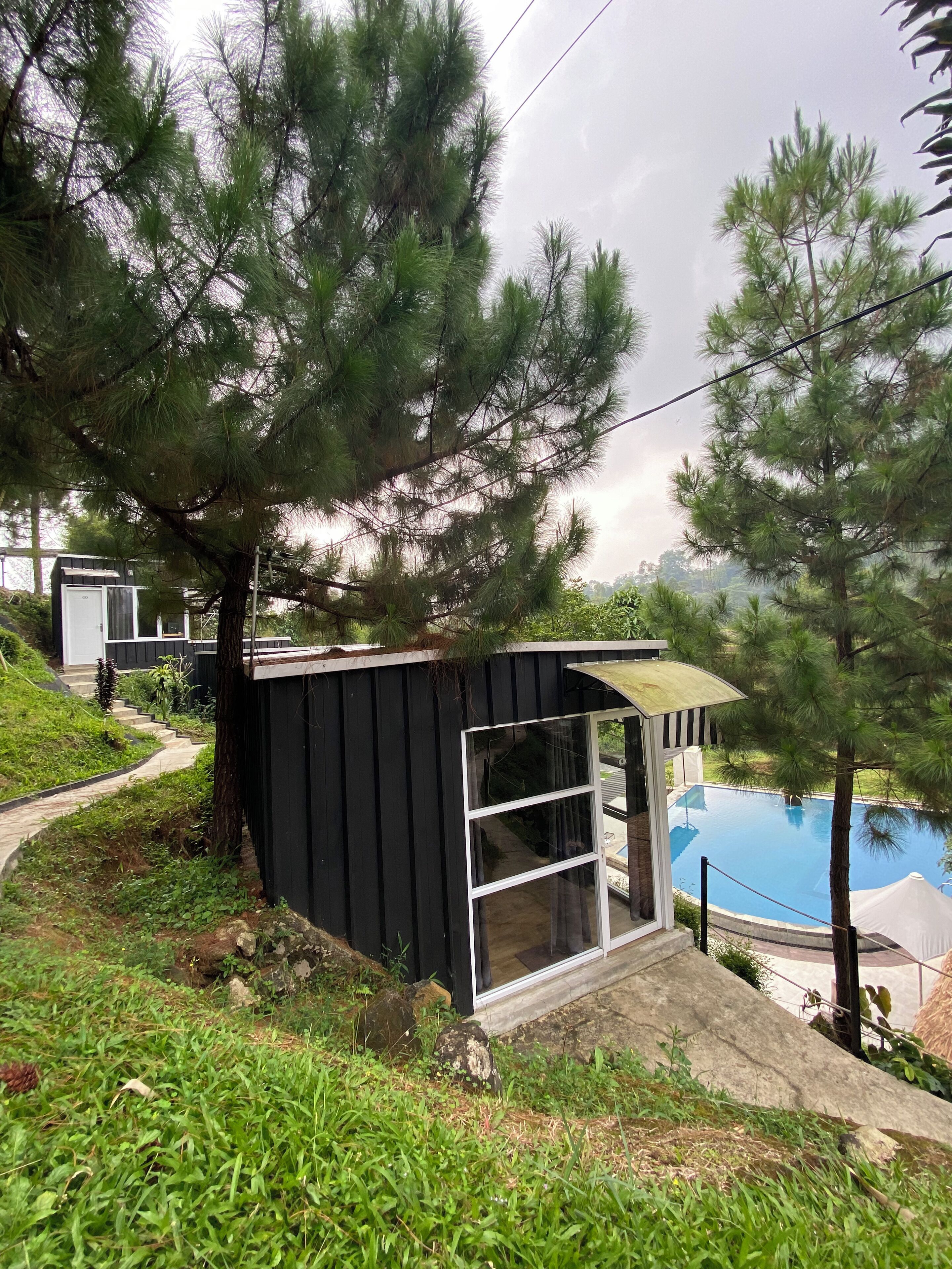 A modern outdoor pool area with a small black structure, surrounded by lush greenery and pine trees.