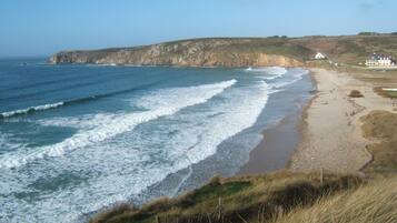 Playa en los alrededores y camastros