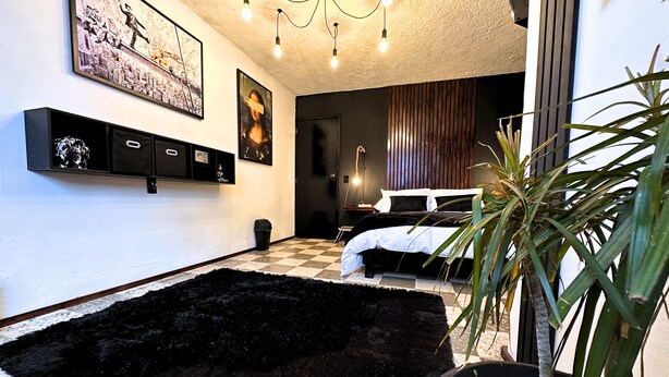 Un dormitorio moderno con un manto negro de pelo suave, una cama con ropa de cama blanca y negra, una planta en maceta y cuadros en las paredes.