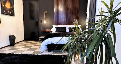 HOMSTY