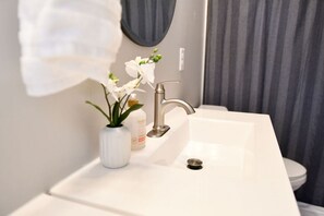 Hair dryer, towels, soap, toilet paper