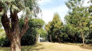 A grassy area with a large tree and a gate in the distance. - Studio Bird de mer (Canale-di-Verde)