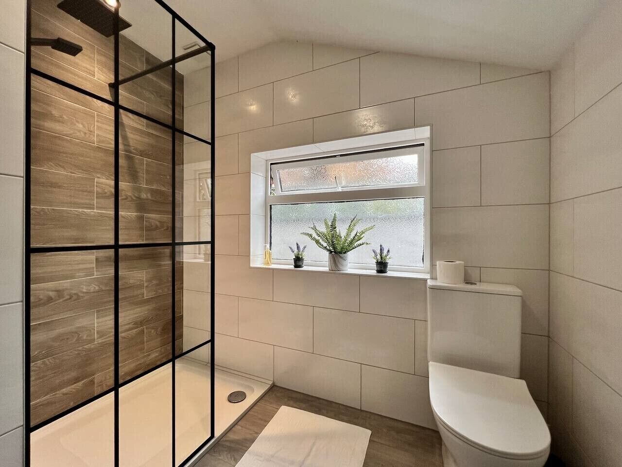 Shower, hair dryer