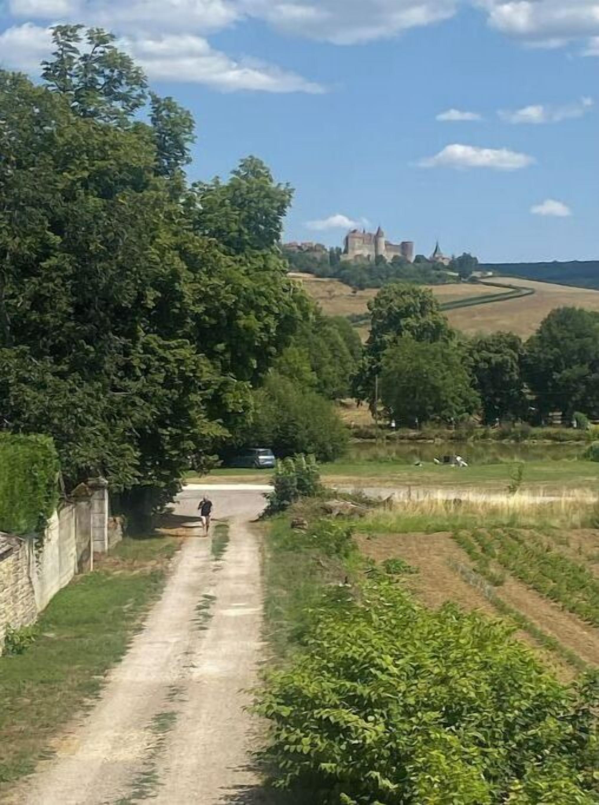 Paisaje rural con un camino de tierra, abundante vegetación y un castillo a lo lejos.