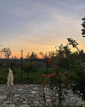 Jardí