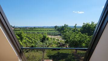 Standard Double Room, Balcony, Vineyard View | Balcony
