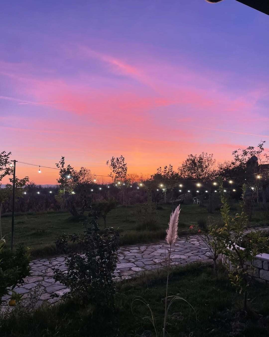 Jardí