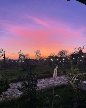 Jardí
