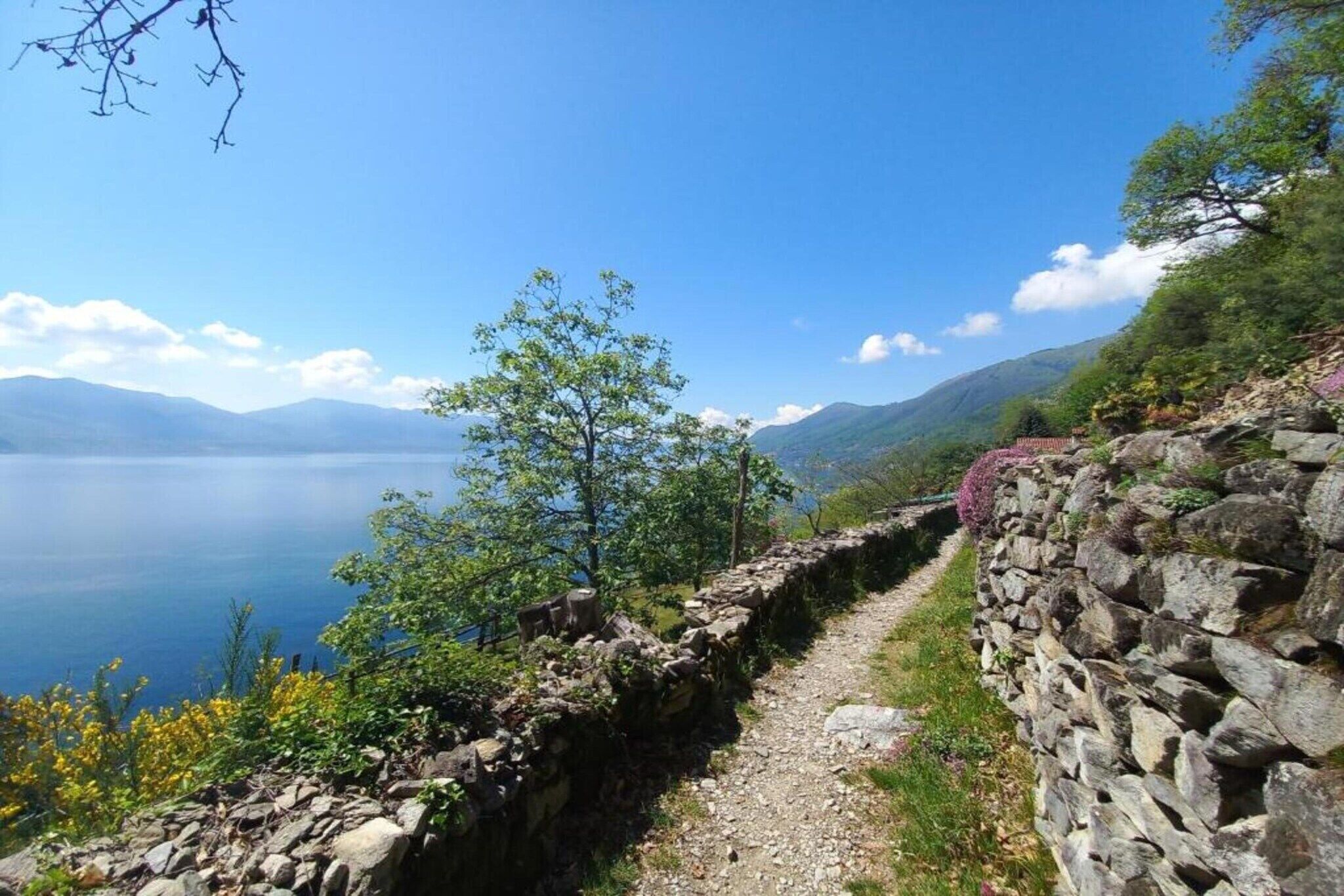 Un camino de piedra junto a un lago, con montañas al fondo.