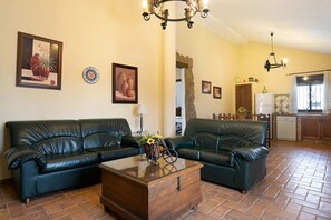 TV, fireplace, stereo