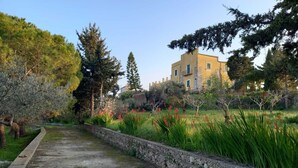 Un camino que lleva a un edificio, con un muro de piedra a un lado y diversas plantas y árboles.