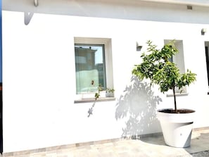 A white building with a large potted tree, a window, and a small shelf with a plant. - Holiday Home 'Chalet Al Mare' with Private Pool, Garden, and Air Conditioning (mondolfo)