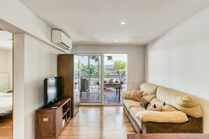 TV