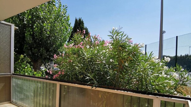 A balcony with a view of lush greenery and flowering plants.