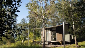 Une cabane de plain-pied dotée d’une grande fenêtre, entourée d’arbres et d’une zone herbeuse.