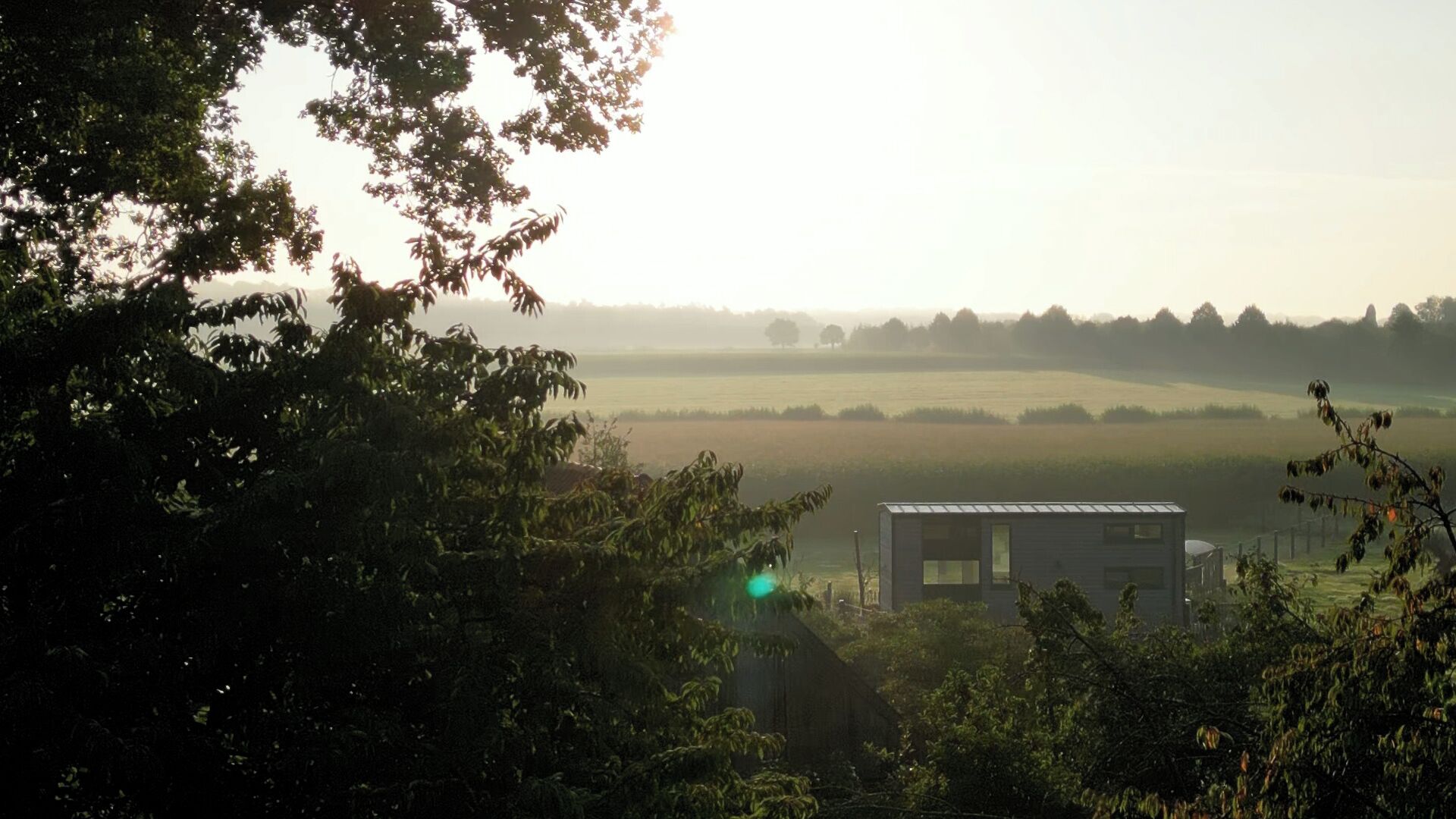 A modern house with a flat roof, surrounded by dense foliage and a misty field in the background.