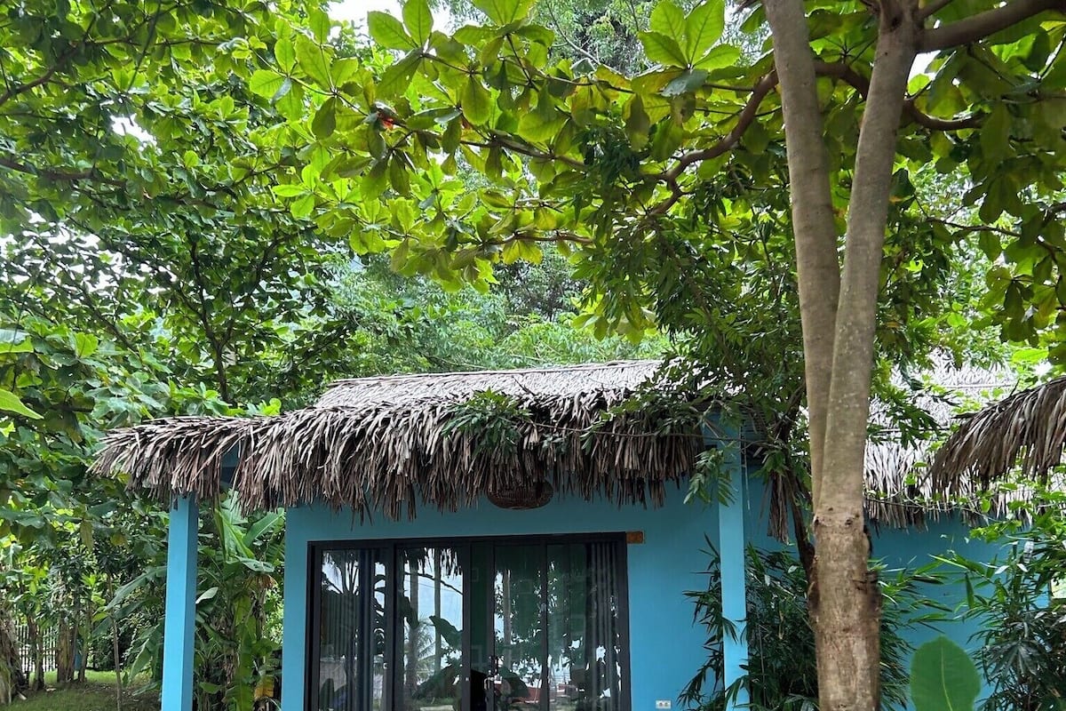Un pequeño edificio azul con techo de paja, rodeado de abundante vegetación.