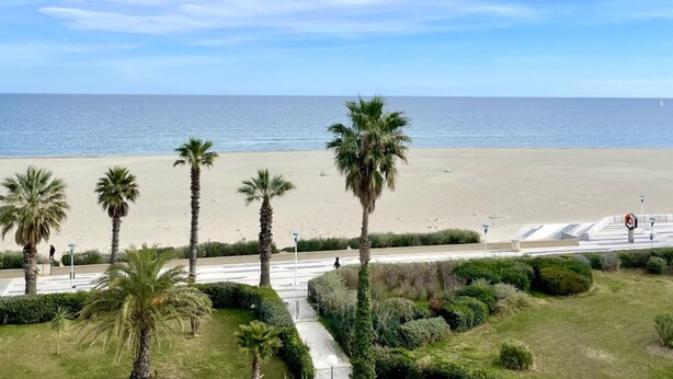 A beach view with palm trees and a clear sky.