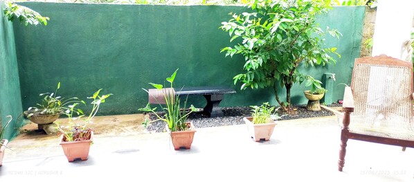 Un jardin agrémenté d’un mur végétal, d’un banc en bois et de plusieurs plantes en pot.