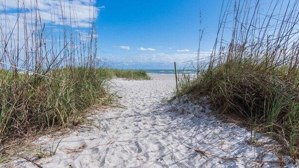 A sandy beach path leading to the sea, surrounded by grass and dunes. - Welcome to The Juni-The Streets (Cocoa Beach)