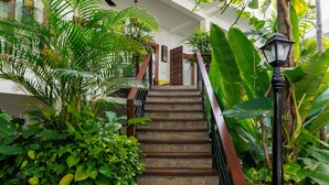 Una escalera rodeada de exuberante vegetación que conduce a una puerta de madera.