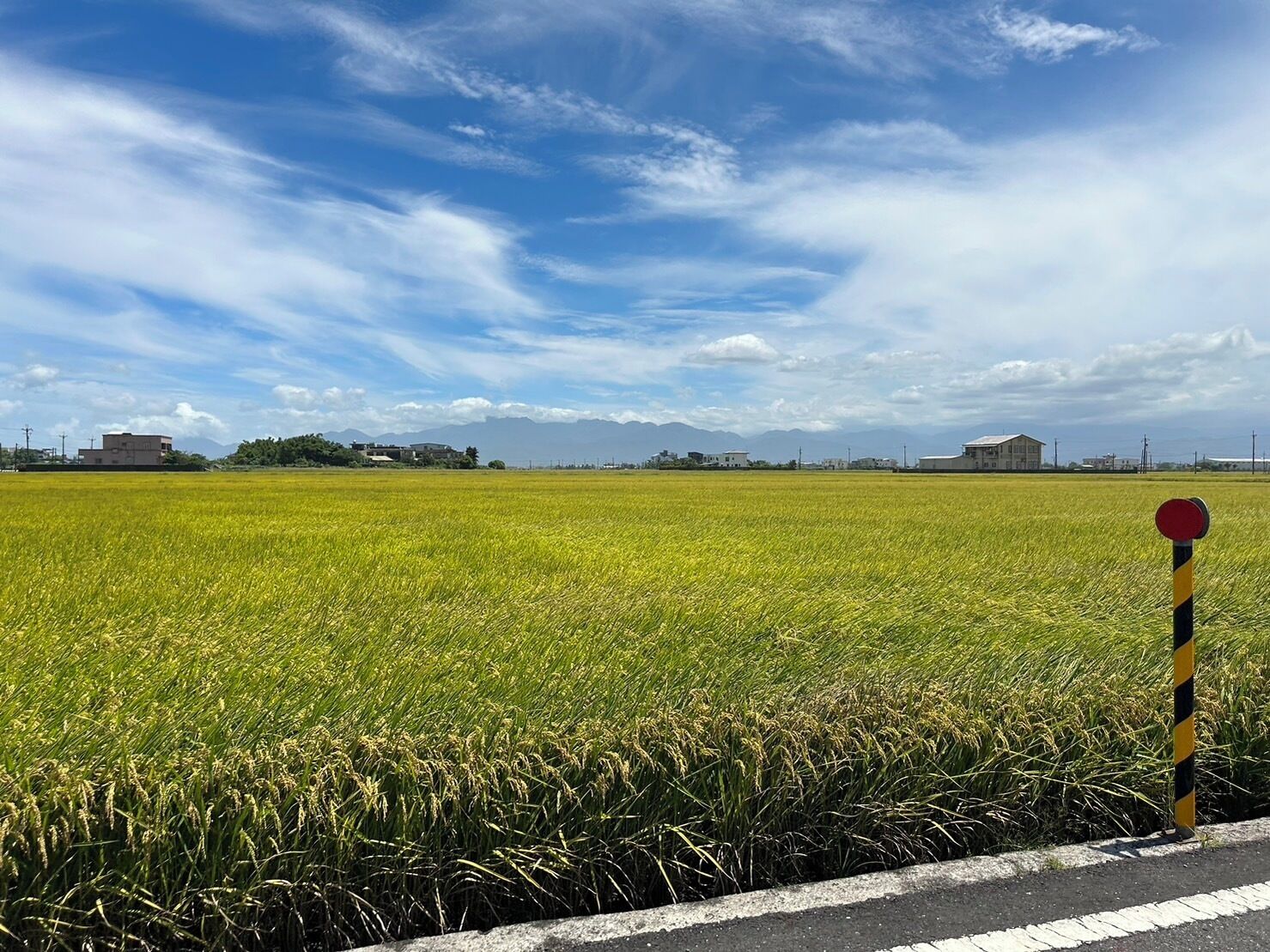 Paisagem rural com um campo de plantações e uma estrada com placa de trânsito.