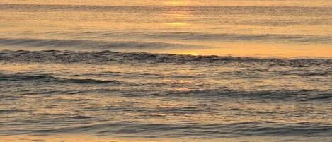 Playa en los alrededores y playa de arena negra
