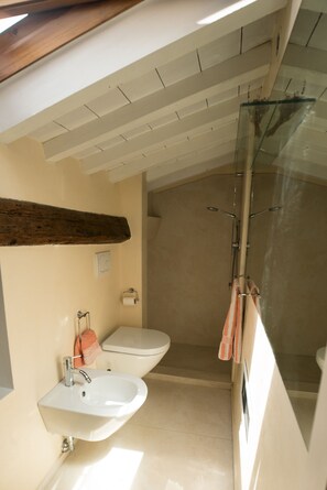 Hair dryer, towels, soap, toilet paper - 1 bedroom apartment in florence (Firenze)