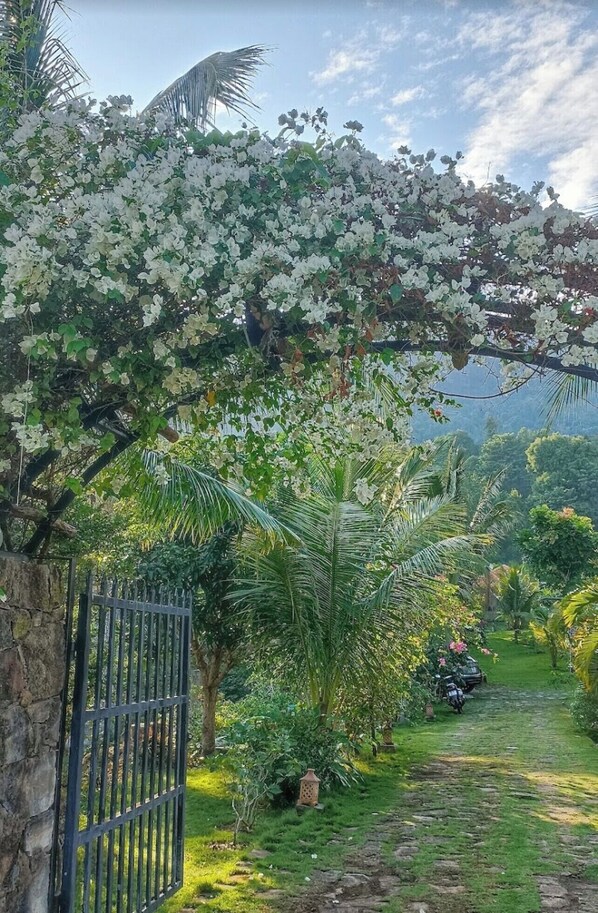 Front of property - Freedom Jungle Resort (Phu Quoc)